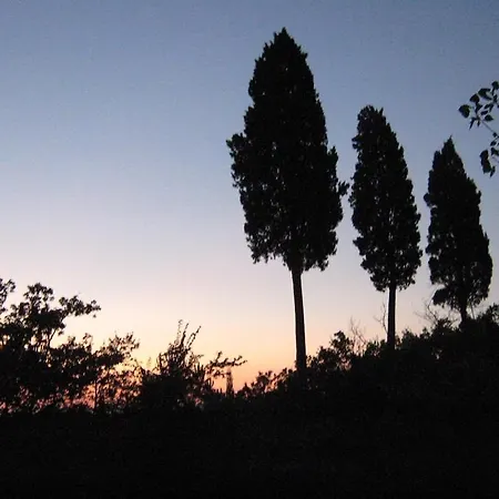 Holiday home La Canonica Delle Rondini - Poggio Al Cielo